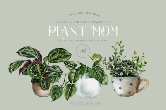 Download House Plants Illustrations and Patterns - Plants Collection