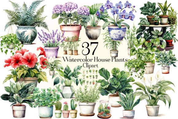 Download Watercolor House Plants Clipart - Plants Collection