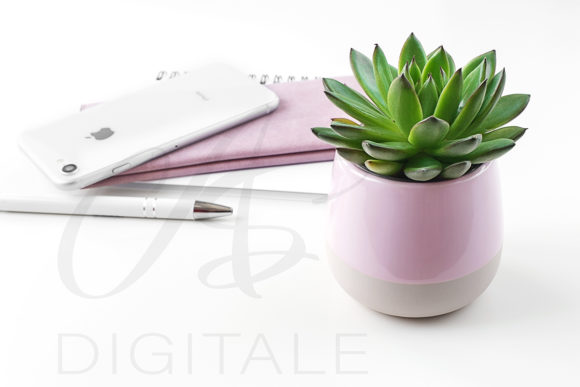 Download Feminine Styled Desktop Mockup - Mockup Collection