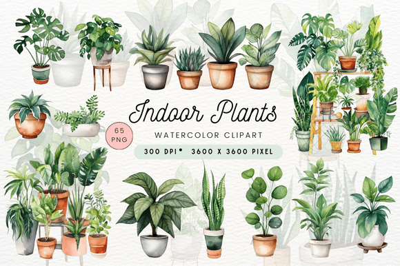 Download Watercolor Indoor Plants Clipart - Plants Collection